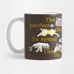 the perfect way to spend the day Mug